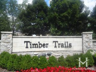 Timber Trails
