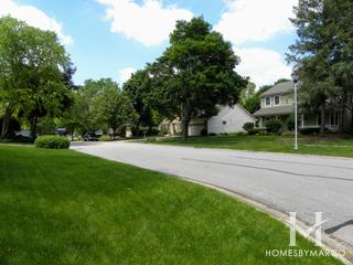 Allendale subdivision in Geneva, IL
