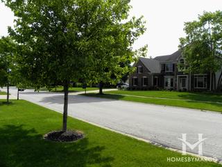 Fox Run subdivision in Geneva, IL