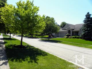 Prairieview Estates subdivision in Geneva, IL