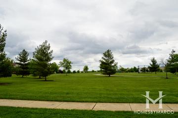 Fairfield Way subdivision in Montgomery, IL
