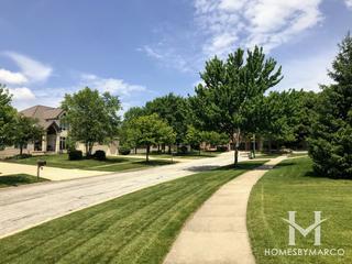 Black Walnut Trails subdivision in Sugar Grove, IL