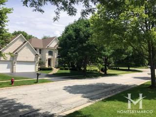 Black Walnut Trails subdivision in Sugar Grove, IL