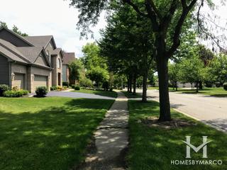 Black Walnut Trails subdivision in Sugar Grove, IL
