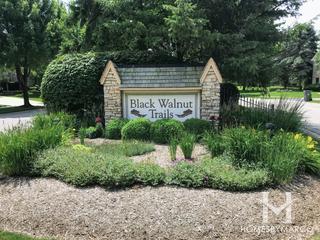 Black Walnut Trails