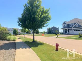Chelsea Meadows subdivision in Sugar Grove, IL