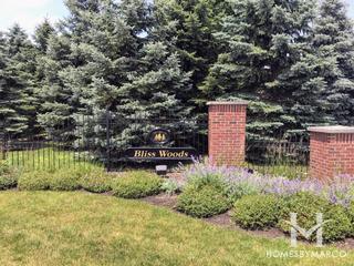 Lakes of Bliss Woods