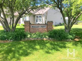 Mallard Point subdivision in Sugar Grove, IL