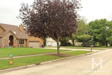 Bonita Vista subdivision in Minooka, IL