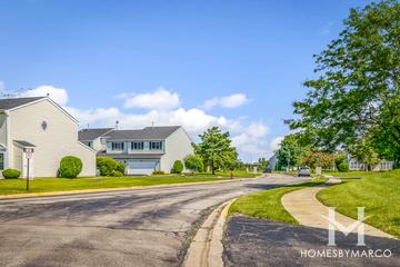 Larkins Pointe subdivision in Joliet, IL