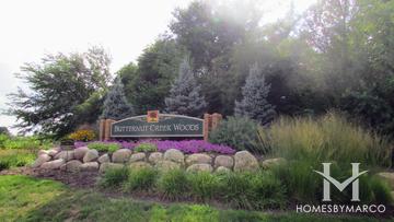 Butternut Creek Woods