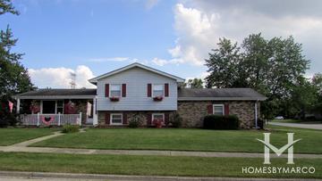 Photos of Chelsea subdivision in Frankfort, IL