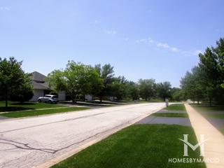 Hunter Woods subdivision in Frankfort, IL
