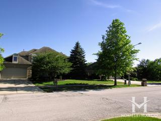 Settlers Pond subdivision in Frankfort, IL