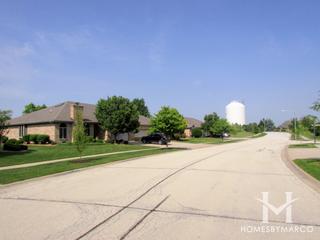 Shenandoah subdivision in Frankfort, IL
