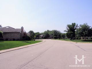 Shenandoah subdivision in Frankfort, IL