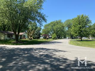 Photos of College View subdivision in Lockport, IL