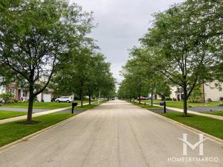Tuttle Estates subdivision in Plainfield, IL
