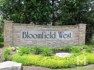 Bloomfield West subdivision in Bolingbrook, IL