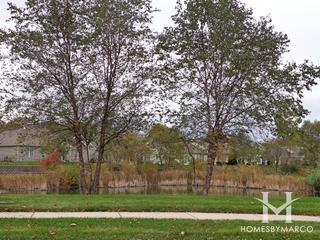Carillon at Heatherstone subdivision in Beach Park, IL