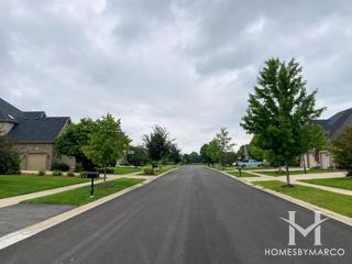 Century Trace subdivision in Plainfield, IL