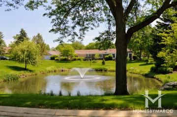 Dartmouth Village subdivision in Wheaton, IL
