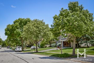 Spruce Pointe subdivision in Gurnee, IL