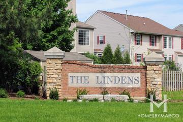 The Lindens