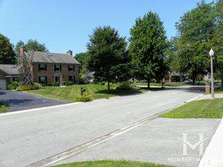Aintree subdivision in St. Charles, IL