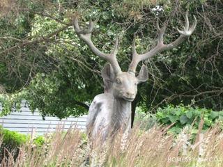 Arbor Creek subdivision in St. Charles, IL