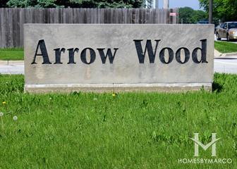 Arrow Wood