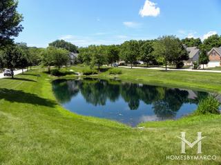 Artesian Springs subdivision in St. Charles, IL