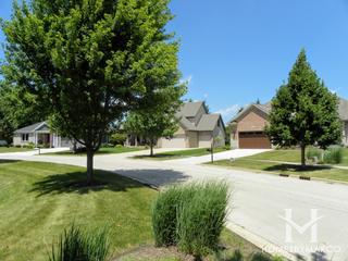 Artesian Springs subdivision in St. Charles, IL