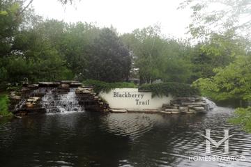 Blackberry Trail subdivision in Aurora, IL