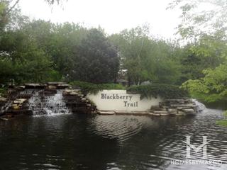 Blackberry Trail subdivision in Aurora, IL