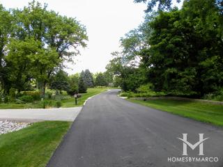 Photos of Bridle Creek subdivision in St. Charles, IL