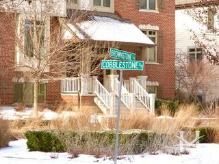 Brownstone at Riversedge subdivision in St. Charles, IL