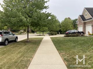 Buffet Harbor subdivision in Lemont, IL