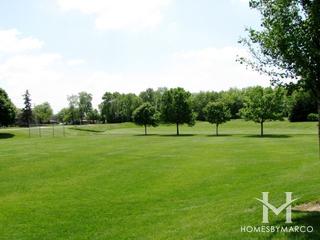 Century Oaks subdivision in Elgin, IL