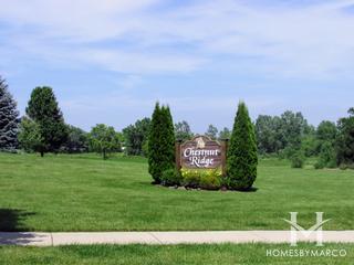 Chestnut Ridge subdivision in Tinley Park, IL