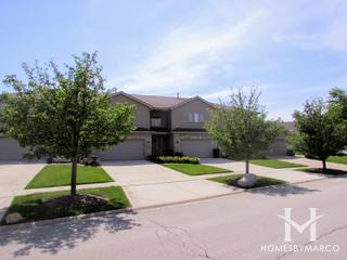 Chestnut Ridge subdivision in Tinley Park, IL
