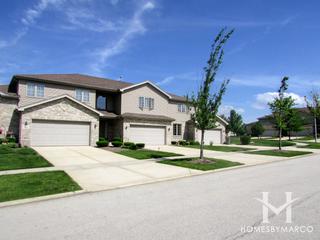 Chestnut Ridge subdivision in Tinley Park, IL