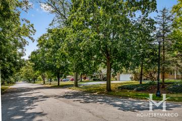 Delnor Park subdivision in St. Charles, IL