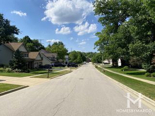 Photos of Echo Ridge subdivision in Elgin, IL
