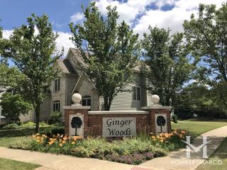 Ginger Woods subdivision in Aurora, IL