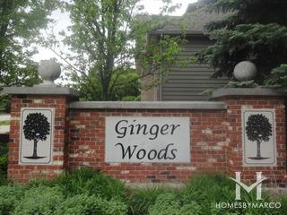 Ginger Woods subdivision in Aurora, IL