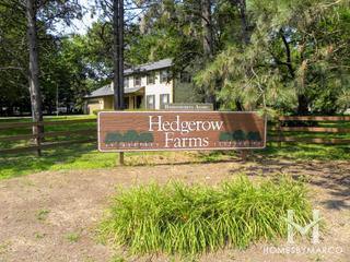 Photos of Hedgerow Farms subdivision in St. Charles, IL