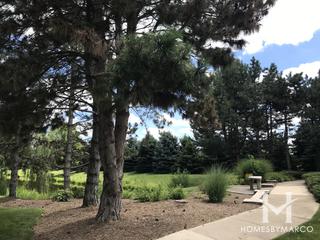 Kirkland Farms subdivision in Aurora, IL