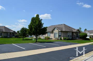 Millenium Lakes subdivision in Tinley Park, IL