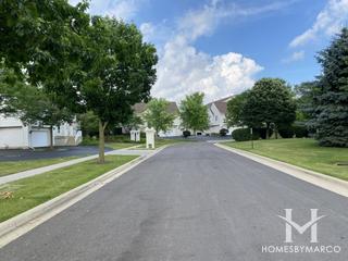 Mulberry Grove subdivision in Elgin, IL